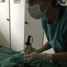 Endoskopieren eines Vogelpatienten